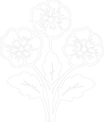 primrose outline