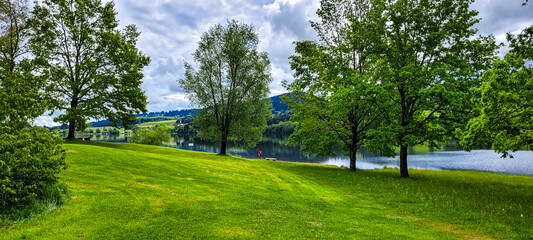 Idyllin green landscape. A well-groomed green lawn on the bank of lake Rottachsee in Bavaria. Place to rest and recover, retreat locations