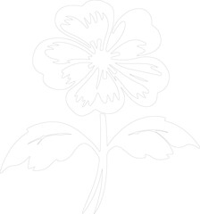 Obraz premium primrose outline
