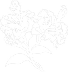 rhododendron outline