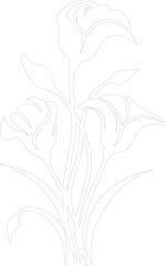 Obraz premium sego lily outline