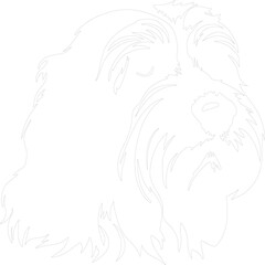 Fototapeta premium Bearded Collie outline