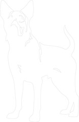Obraz premium Beauceron outline
