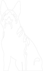 Belgian Malinois outline