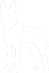 Obraz premium Belgian Malinois outline