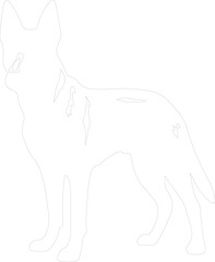 Obraz premium Belgian Malinois outline