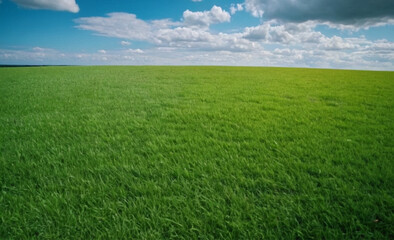 Obraz premium Panoramic Natural Landscape Green Grass Field, Blue Sky, and Mountains in Background, Summer Spring Meadow