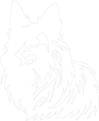 Belgian Tervuren outline