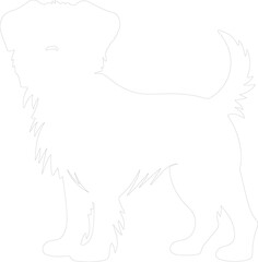 Brussels Griffon outline