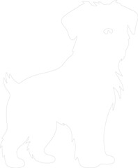 Obraz premium Brussels Griffon outline