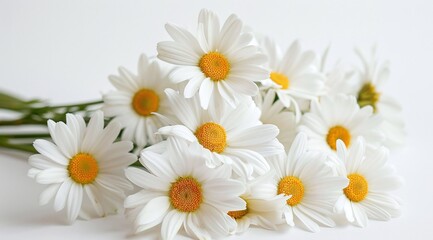 Obraz premium white daisy flowers, A bouquet of fresh white daisies with yellow centers, beautifully arranged against a clean white background. Ideal for floral visuals, spring themes, and nature-inspired compositi
