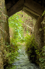 The image shows a small, overgrown stream flowing through a narrow stone.