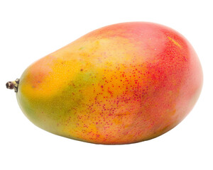 A single ripe mango, isolated on a white background, with its smooth, golden-yellow skin and slightly blushed surface, emphasizing the tropical and exotic nature of the fruit.Close-up