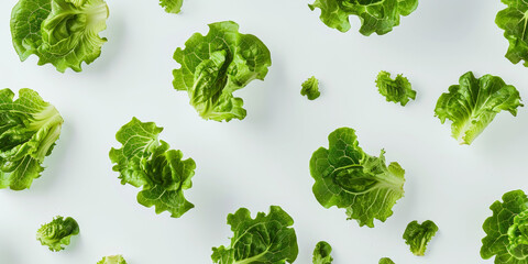 A close up of many green lettuce leaves on white background. - Powered by Adobe
