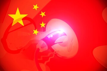 Chinese flag with a close up of an electric car charger.