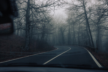 fog on the road