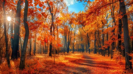 Brilliant autumn deciduous forest with sunlit trees in vibrant, captivating colors