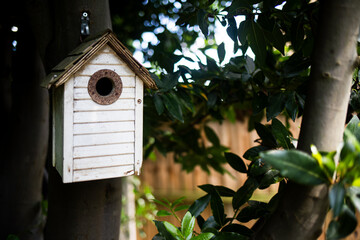 Bird House Hanging from a Tree