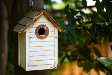 Bird House Hanging from a Tree