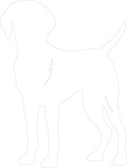 Obraz premium Weimaraner outline
