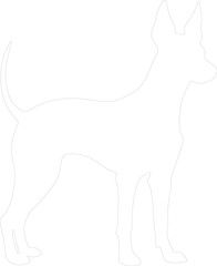 Obraz premium Xoloitzcuintli Mexican Hairless Dog outline