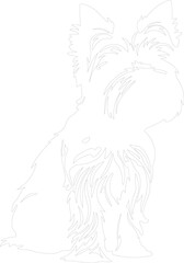 Yorkshire Terrier outline