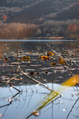 reflection in the water lake