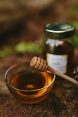 A glass transparent plate with honey on an old stump in the forest. Honey close up. Healthy food. Small business. Picnic in forest. Artistic photo of beekeeping products against the backdrop of nature