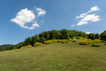 landscape in the mountains