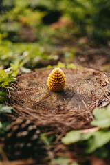 Handmade candles from natural beeswax in the shape of flowers, bears on an old stump in the forest. Hobby. Handmade present. Gift. Artistic photo of beekeeping products against the backdrop of nature