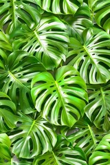 summer background with tropical palm leaves and branches