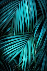 summer background with tropical palm leaves and branches