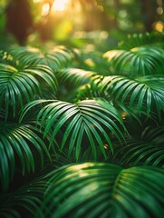 summer background with tropical palm leaves and branches