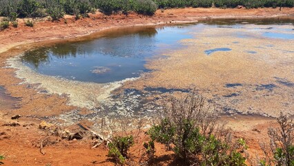 Beautiful natural pond on the comino island. Preserved nature. High quality photo