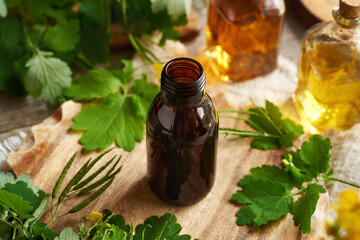 A brown bottle of tetterwort herbal tincture on a table