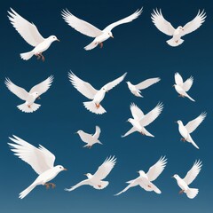 Obraz premium black bird fly in the sky