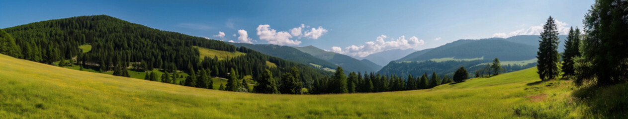 Fototapeta premium A beautiful landscape with a large green field and mountains in the background