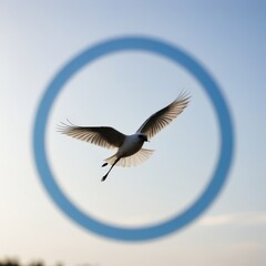 Fototapeta premium black bird fly in the sky