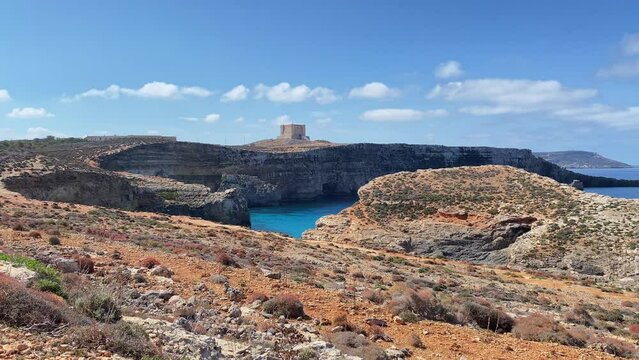 Revealing shot of Santa Marija tower on Comino island, malta, with wild dry cumin in the foreground. Island name Comino (Maltese Kemmuna) is derived from this plant name as its wide spread on the