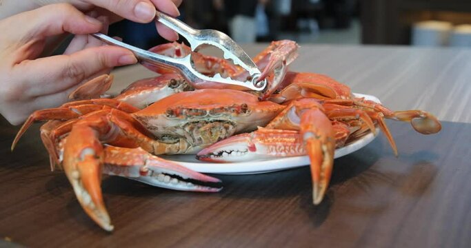 Stone crab cutter with seafood knives, shellfish knives made of aluminum and stainless steel, set Seafood Tools, Lobster, Crab, Cracker, Gadgets, Cooking Tools, Claws, Sheller. Kitchen Accessories