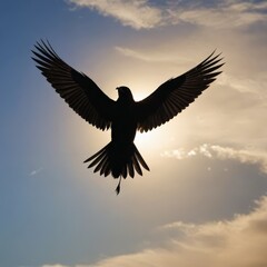 Obraz premium eagle in the sky