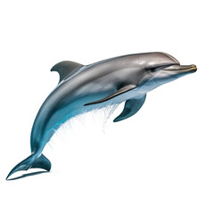 Fototapeta premium dolphin isolated on white background
