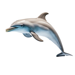 Fototapeta premium dolphin isolated on white background