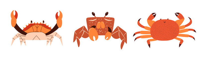 Crustacean sea animals collection. Cartoon hand drawn crayfish set. Elements for children's or adult menus, restaurants, shops. Vector illustration