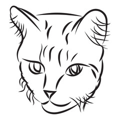 A simple cat in doodle style. Vector illustration on white background.