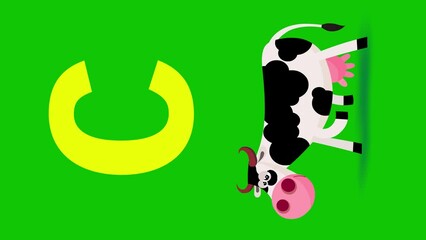C letter big color vertical like cow cartoon animation. Animal loop. Educational serie with bold style character for children. Good for education movies, presentation, learning alphabet, etc...
