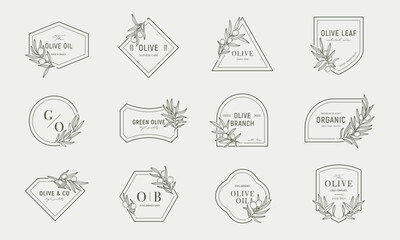 Olive logos templates set with olive branches in minimal linear style. Vector leaves and olive fruits.