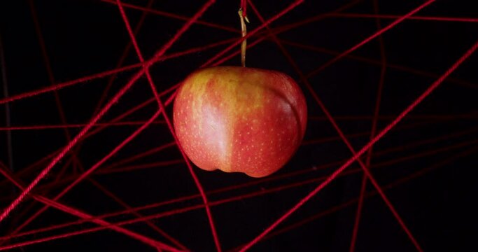 Among the stretched red threads on a black background, a red apple hangs in a three-dimensional space. Psychology and psychiatry. Visualization of phobias and their removal. Camera movement