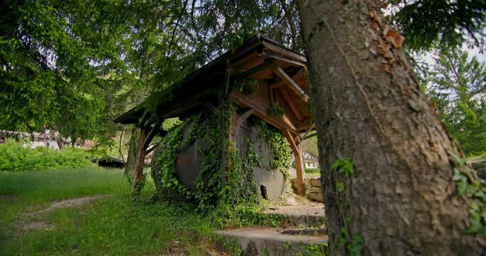the landscape of the hobbit's house is beautifully overgrown with bushes. High quality 4k footage