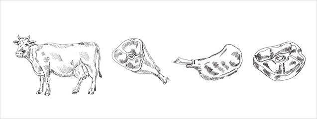 Meat parts of the cow,calf,camel. Eid al adha sacrifice, meat vectors